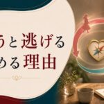 追えば逃げられる、追われたら冷める｜「蛙化現象」の心理 のアイキャッチ画像