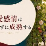30代になって急に「恋愛感情が薄れた」あなたへ｜枯れたのではなく成熟した のアイキャッチ画像