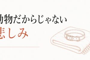 ペットロスから立ち直る方法｜「動物だから」じゃない悲しみ のアイキャッチ画像