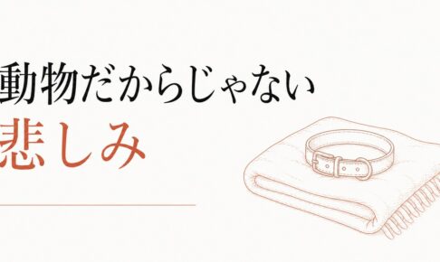 ペットロスから立ち直る方法｜「動物だから」じゃない悲しみ のアイキャッチ画像